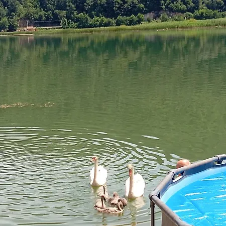 Dom wakacyjny Kuca Za Odmor Drina *